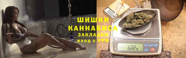 гидра Армянск