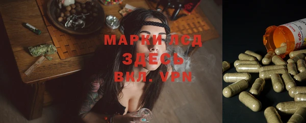 гидра Армянск